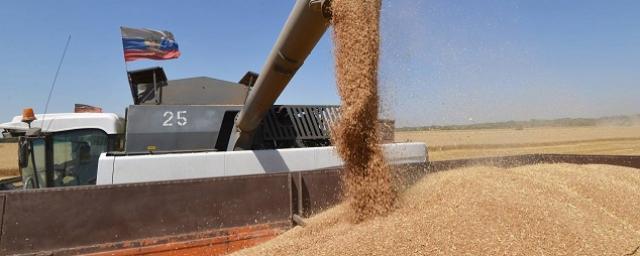 В мире сохранится высокий спрос на пшеницу из РФ на фоне проблем в глобальной экономике