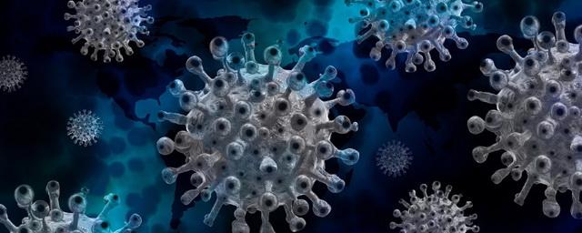 В Забайкальском крае выявили еще 82 случая коронавируса