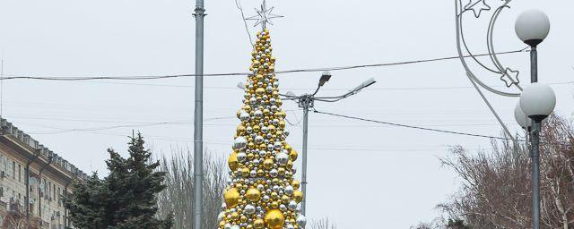 Выставка необычных елок состоится в Волгограде