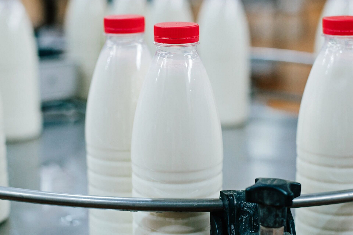 Суд запретил донскому предпринимателю выпускать молочную продукцию из-за множества нарушений