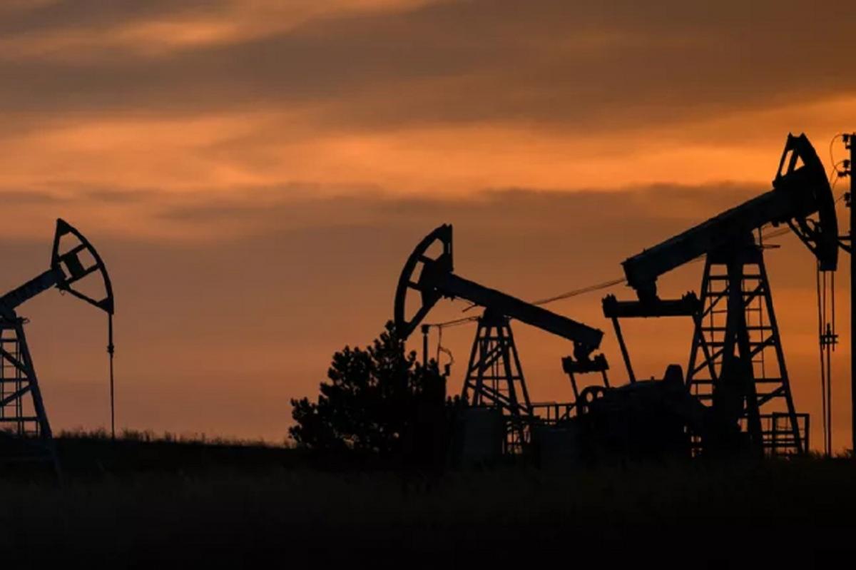 Россия получила от Алжира приглашение на участие в тендерах по освоению нефтегазовых месторождений