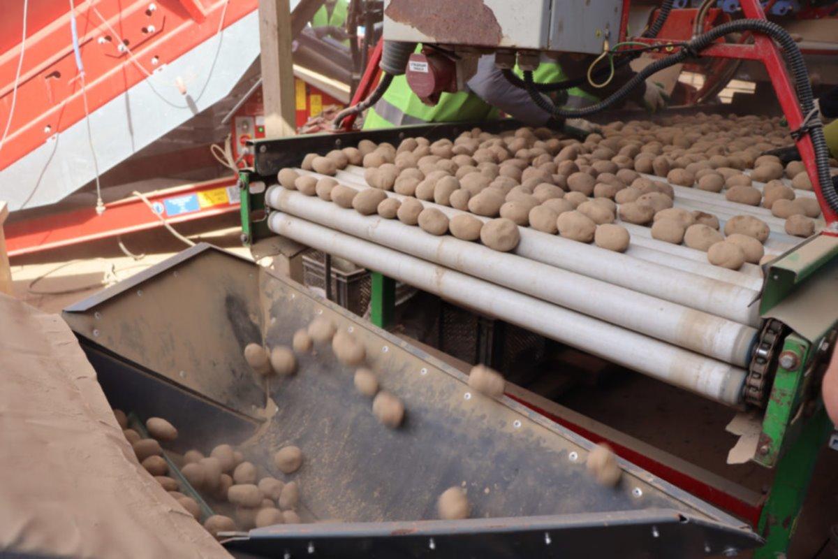 Глава Костромской области отметил значимость сельхозпредприятия «Мечта» для региона