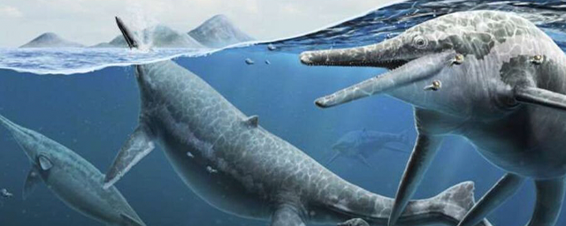 Current Biology: Ученые США полагают, что нашли «родильный дом» древних морских ящеров