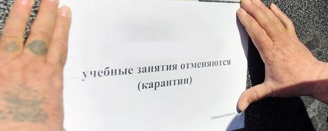 В Нижнем Новгороде на карантин по гриппу закрыли шесть школ