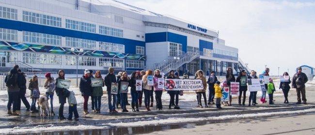 Хабаровские зоозащитники провели пикет против передвижного дельфинария