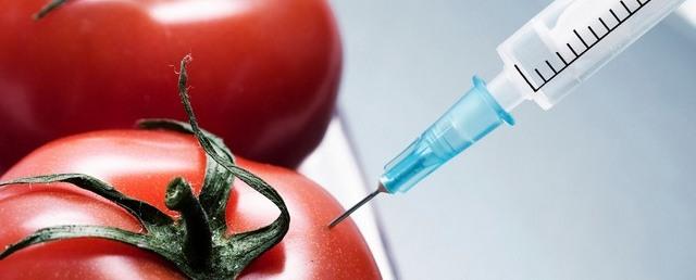 Фрагменты ДНК из ГМО-продуктов встраиваются в человеческий организм