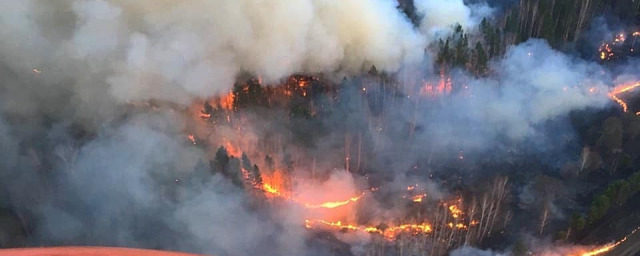 В Новосибирской области ухудшилась ситуация с лесными пожарами