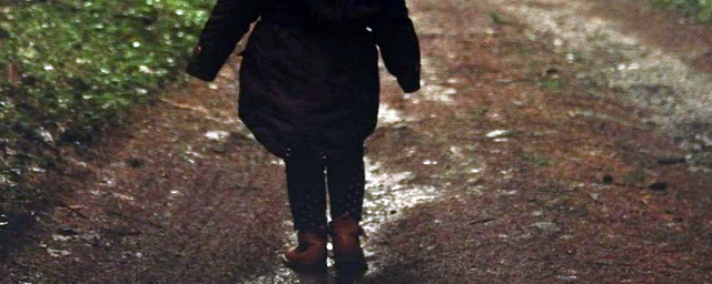 Новосибирские полицейские отыскали живой пропавшую 5-летнюю девочку