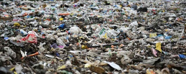 В НСО предложили увеличить тариф на вывоз мусора на 31,8%