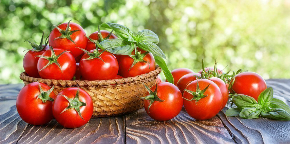 Производство овощей в Курганинском районе выросло до 21 тысячи тонн