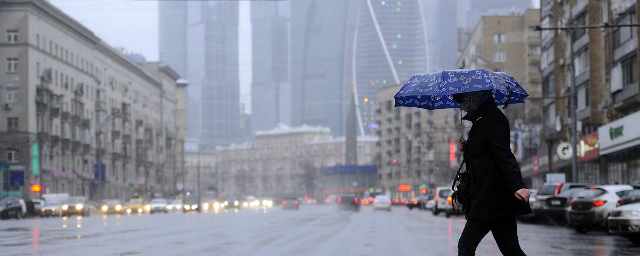 Желтый уровень погодной опасности действует в Москве из-за ветра