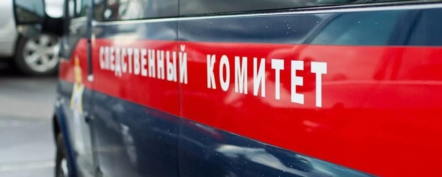 После убийства студентки из Подмосковья заведено уголовное дело