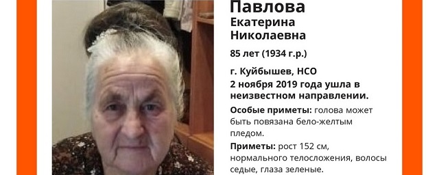 В Новосибирской области пропала без вести 85-летняя Екатерина Павлова