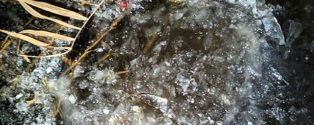 Под Саратовом дети нашли вмерзшее в лед реки тело младенца