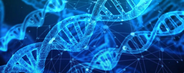 Ученый создает приложение для знакомства по ДНК