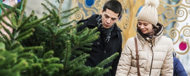 В Барнауле откроют более 70 елочных базаров