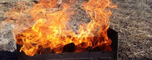 В Приамурье с 1 апреля вводится особый противопожарный режим