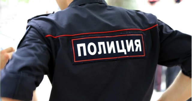 Полиция Мурманска задержала серийного похитителя аккумуляторов