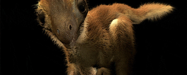 Милые и с мехом: Ученые восстановили облик детенышей тираннозавра