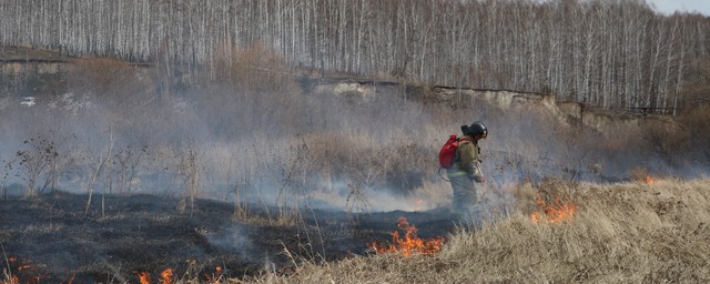 В Кузбассе потушили первый лесной пожар