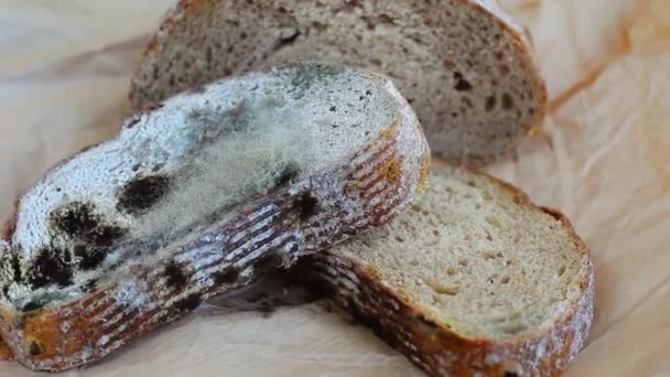 Посуда со сколами, просроченный хлеб, плесень на овощах: как работают школьные столовые в Бердске