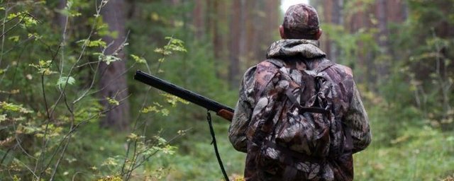 На Камчатке 20% муниципальных охотугодий хотят сделать общедоступными