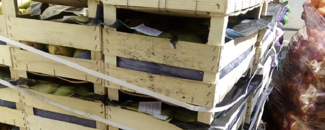 В Томске уничтожили бульдозером 730 кг «санкционных» груш из Голландии