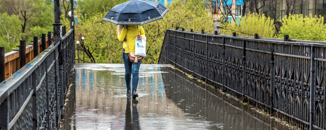 На пятницу в Приморье синоптики прогнозируют дожди и туманы