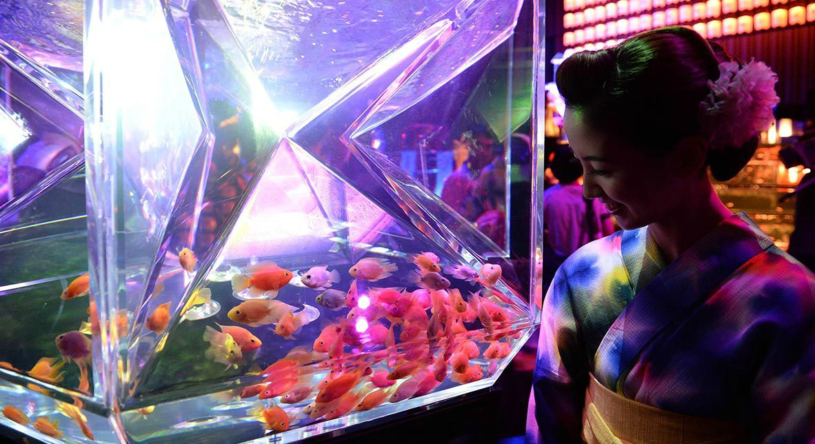 В Японии проходит ежегодная выставка декоративных рыб