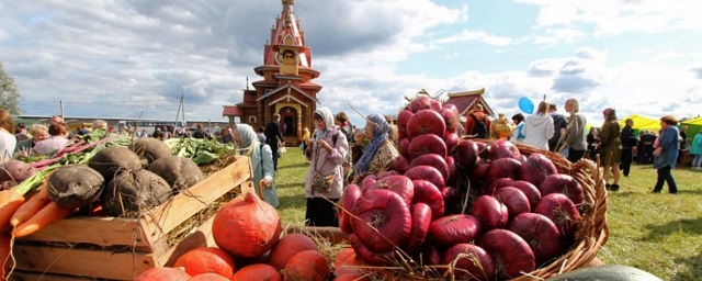 Федеральный проект создание системы поддержки фермеров и развитие сельской кооперации