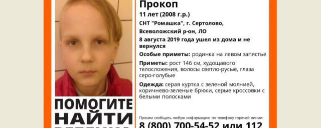 Помогите найти: в Сертолово пропал 11-летний Прокоп Шевченко