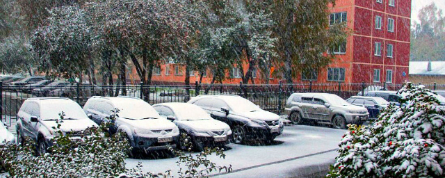 Сегодня в Новосибирске выпал первый в этом сезоне снег