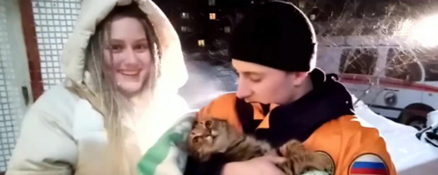 Новосибирские спасатели освободили кошку, застрявшую в уличной трубе