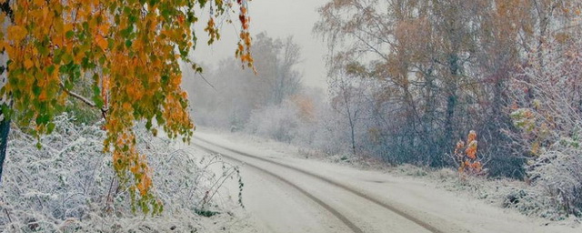 На следующей неделе в Омской области ожидается снегопад