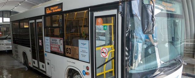 Мэр Южно-Сахалинска дал поручение проверить весь автобусный парк