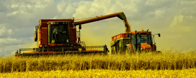 Власти Воронежской области рассказали о рекордном урожае зерна