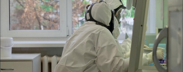 В Новосибирской области откроют новые лаборатории для тестирования на COVID-19