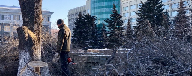 В Челябинске срубят 152 аварийных дерева