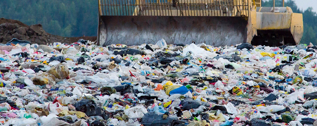 Депутаты Бердска против строительства мусорного полигона рядом с городом