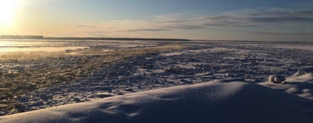 С выходных в Архангельскую область придет аномальное тепло