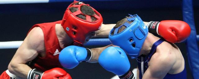 Боксеры Вологды завоевали золото на областных соревнованиях