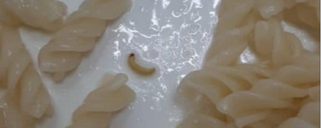 В Сибае в школьной столовой учащиеся обнаружили в макаронах червей