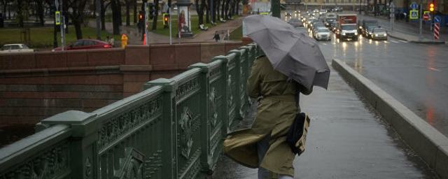 МЧС предупреждает петербуржцев о сильном ветре в понедельник