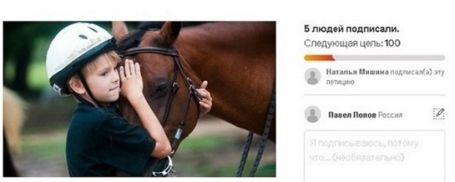 Ярославцы создали петицию с просьбой спасти лошадей конноспортивной школы