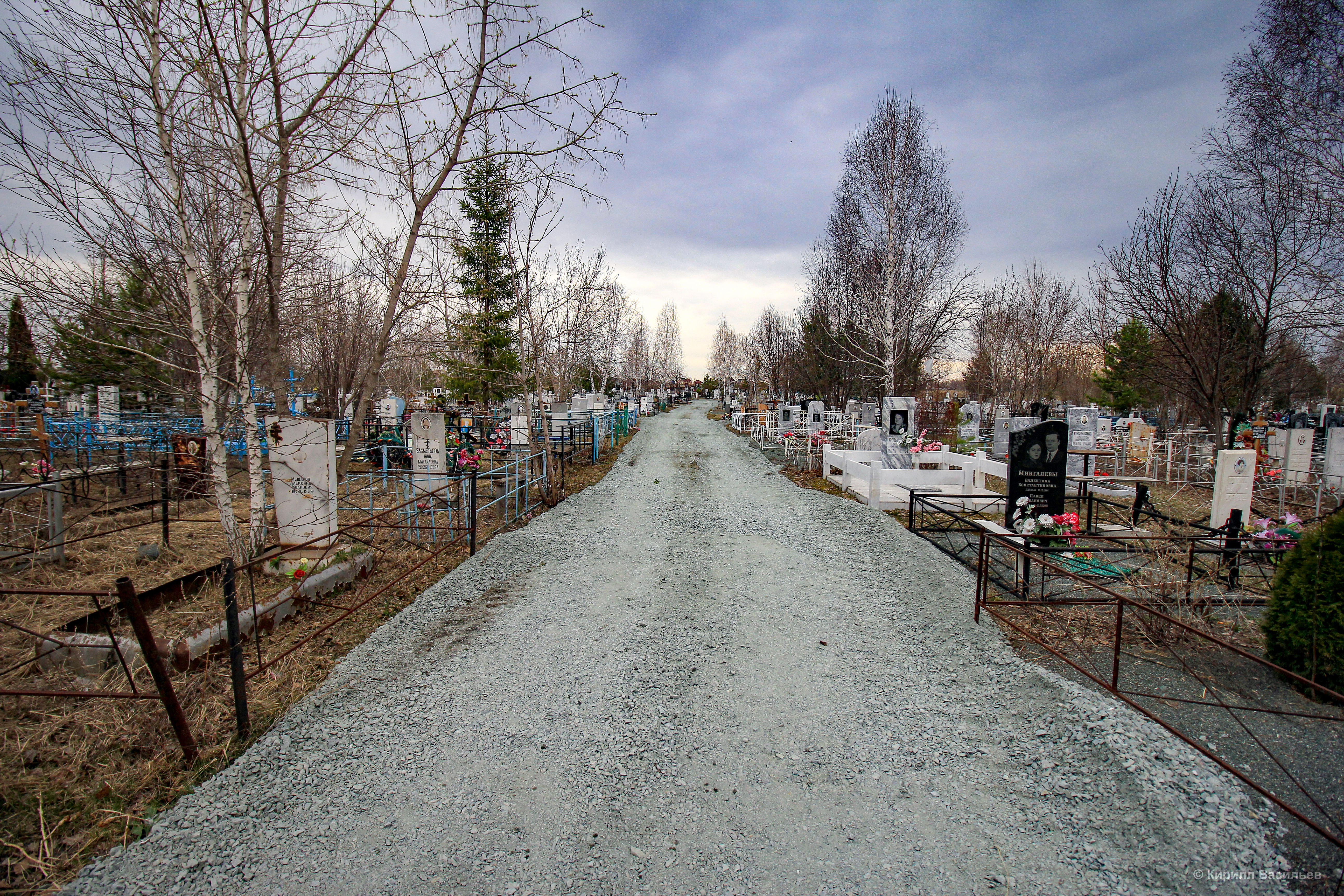 Омичка заявила губернатору о намерении прорваться на кладбище с ружьем
