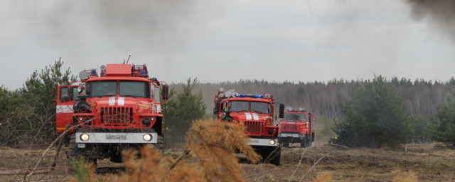 Во Владимирской области установят особый противопожарный режим