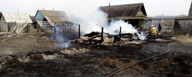 Поджигатели травы в Мордовии едва не сожгли две деревни