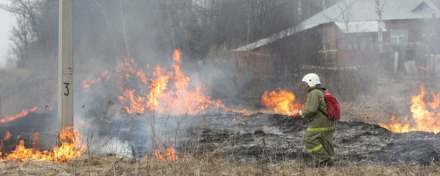 С начала года в Раменском зарегистрированы почти 500 пожаров