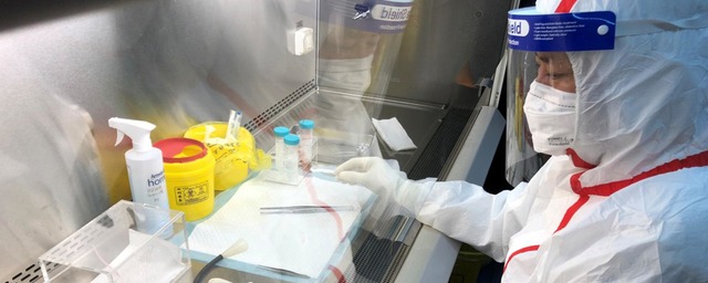 Ученые из Дании обнаружили слабое место коронавируса