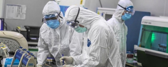 Ученые в Новосибирске получили штамм коронавируса для вакцины